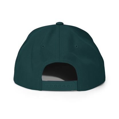 Alpha Omega Wool Blend Snapback